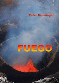 FUEGO - Peter Greminger - E-Book