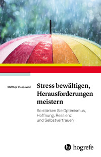 Stress bewältigen, Herausforderungen meistern - Matthijs Steeneveld - E-Book