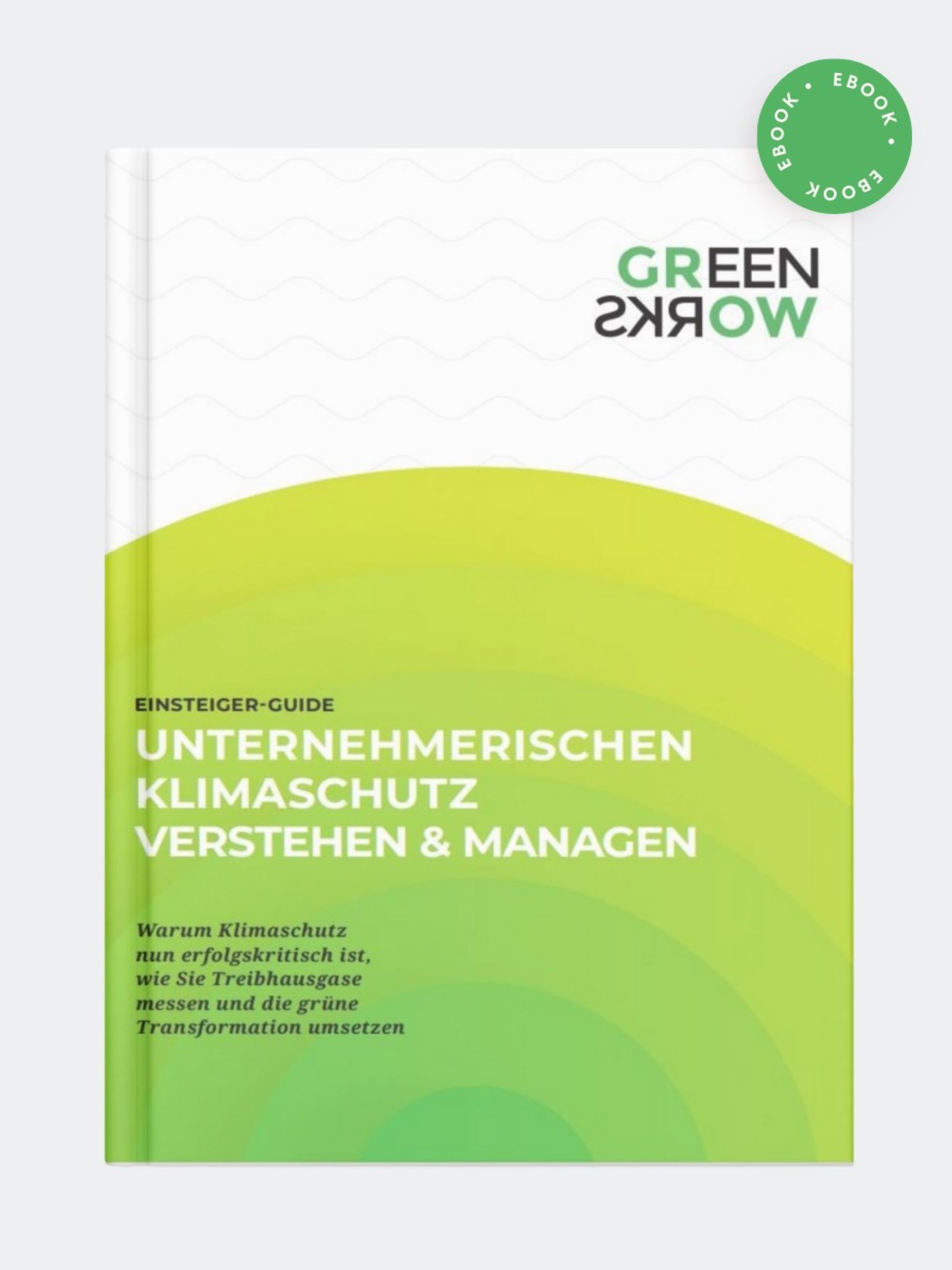 Einsteiger-Guide -  - E-Book