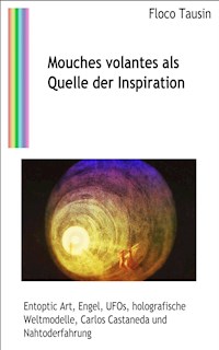 Mouches volantes als Quelle der Inspiration - Floco Tausin - E-Book