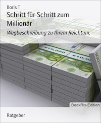 Schritt für Schritt zum Millionär - Boris T - E-Book
