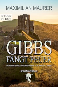 Gibbs fängt Feuer - Maximilian Maurer - E-Book