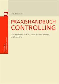 Praxishandbuch Controlling - Peter Baier - E-Book