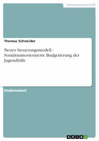 Neues Steuerungsmodell - Sozialraumorientierte Budgetierung der Jugendhilfe - Thomas Schneider - E-Book
