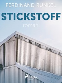 Stickstoff - Ferdinand Runkel - E-Book