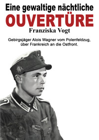 Eine gewaltige nächtliche Ouvertüre - Franziska Vogt - E-Book