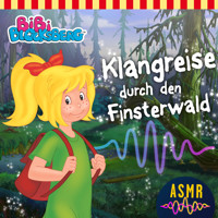 Bibi Blocksberg, Klangreise durch den Finsterwald - Unknown - Hörbuch
