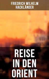Reise in den Orient - Friedrich Wilhelm Hackländer - E-Book