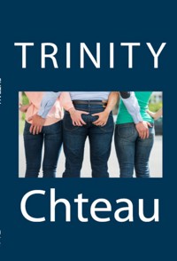 Trinity Chteau: Extreme Taboo Barely Legal BDSM Erotica - Brandy Anne Koch - E-Book