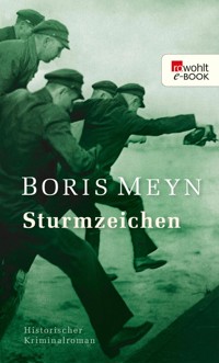 Sturmzeichen - Boris Meyn - E-Book