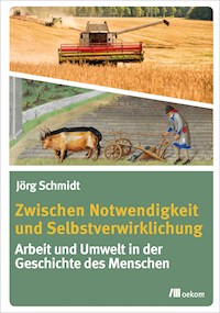 Zwischen Notwendigkeit und Selbstverwirklichung - Jörg Schmidt - E-Book
