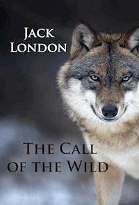 The Call of the Wild - Jack  London - E-Book + Hörbuch