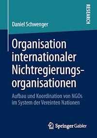 Organisation internationaler Nichtregierungsorganisationen - Daniel Schwenger - E-Book
