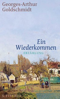 Ein Wiederkommen - Georges-Arthur Goldschmidt - E-Book