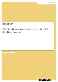 Die Situation am Arbeitsmarkt im Bereich des Einzelhandels - Lisa Egger - E-Book