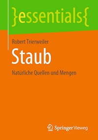 Staub - Robert Trierweiler - E-Book
