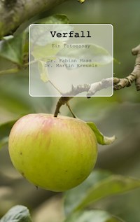 Verfall - Fabian Haas - E-Book