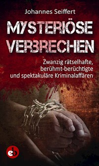 Mysteriöse Verbrechen - Johannes Seiffert - E-Book