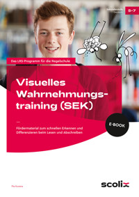 Visuelles Wahrnehmungstraining - Sekundarstufe - Pia Kucera - E-Book