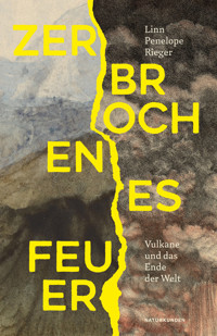 Zerbrochenes Feuer - Linn Penelope Rieger - E-Book