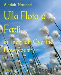 Ulla Flota á Fæti, - alastair macleod - E-Book