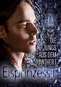 Die Jungs aus dem Panther - Elian Mayes - E-Book