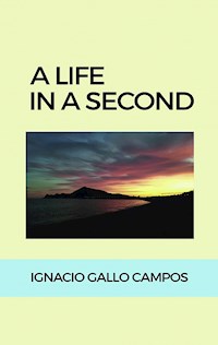 A life in a second - Ignacio Gallo Campos - E-Book