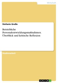 Betriebliche Personalentwicklungsmaßnahmen. Überblick und kritische Reflexion - Stefanie Große - E-Book