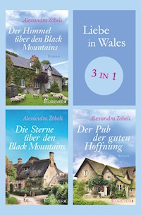 Liebe in Wales - Alexandra Zöbeli - E-Book