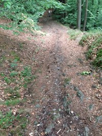 Zeit der Entspannung - Alexandra Luke - E-Book