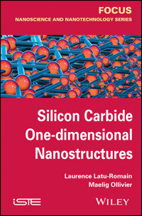 Silicon Carbide One-dimensional Nanostructures - Laurence Latu-Romain - E-Book