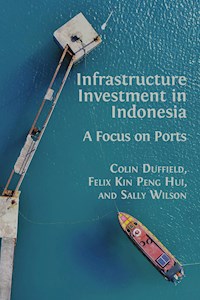 Infrastructure Investment in Indonesia - Colin Duffield - E-Book