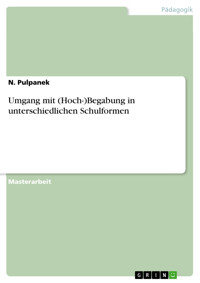 Umgang mit (Hoch-)Begabung in unterschiedlichen Schulformen - N. Pulpanek - E-Book
