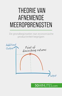 Theorie van afnemende meeropbrengsten - Pierre Pichère - E-Book