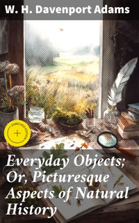 Everyday Objects; Or, Picturesque Aspects of Natural History - W. H. Davenport Adams - E-Book