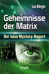 Geheimnisse der Matrix - Luc Bürgin - E-Book