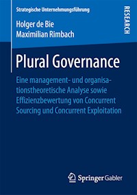 Plural Governance - Holger de Bie - E-Book