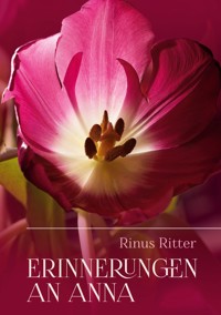 Erinnerungen an Anna - Ritter, Rinus - E-Book