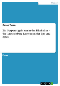 Ein Gespenst geht um in der Filmkultur – die (un)sichtbare Revolution der Bits und Bytes - Canan Turan - E-Book
