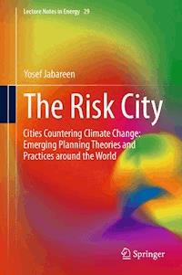 The Risk City - Yosef Jabareen - E-Book