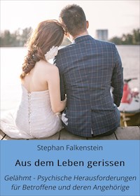 Aus dem Leben gerissen - Stephan Falkenstein - E-Book