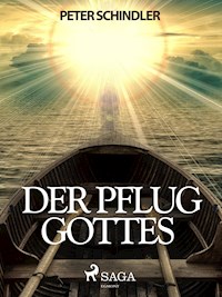 Der Pflug Gottes - Peter Schindler - E-Book