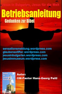 Betriebsanleitung - Hans-Georg Peitl - E-Book