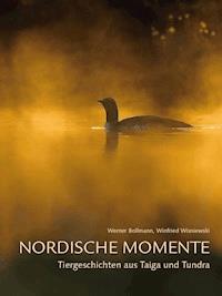 Nordische Momente - Werner Bollmann - E-Book