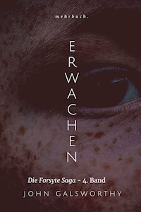 Erwachen - John Galsworthy - E-Book