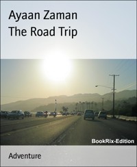 The Road Trip - Ayaan Zaman - E-Book