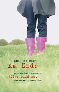 Am Ende - Rudolf Habringer - E-Book