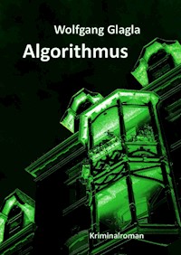 Algorithmus - Wolfgang Glagla - E-Book