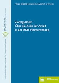 Zwangsarbeit - Anke Dreier-Horning - E-Book