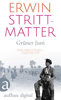Grüner Juni - Erwin Strittmatter - E-Book